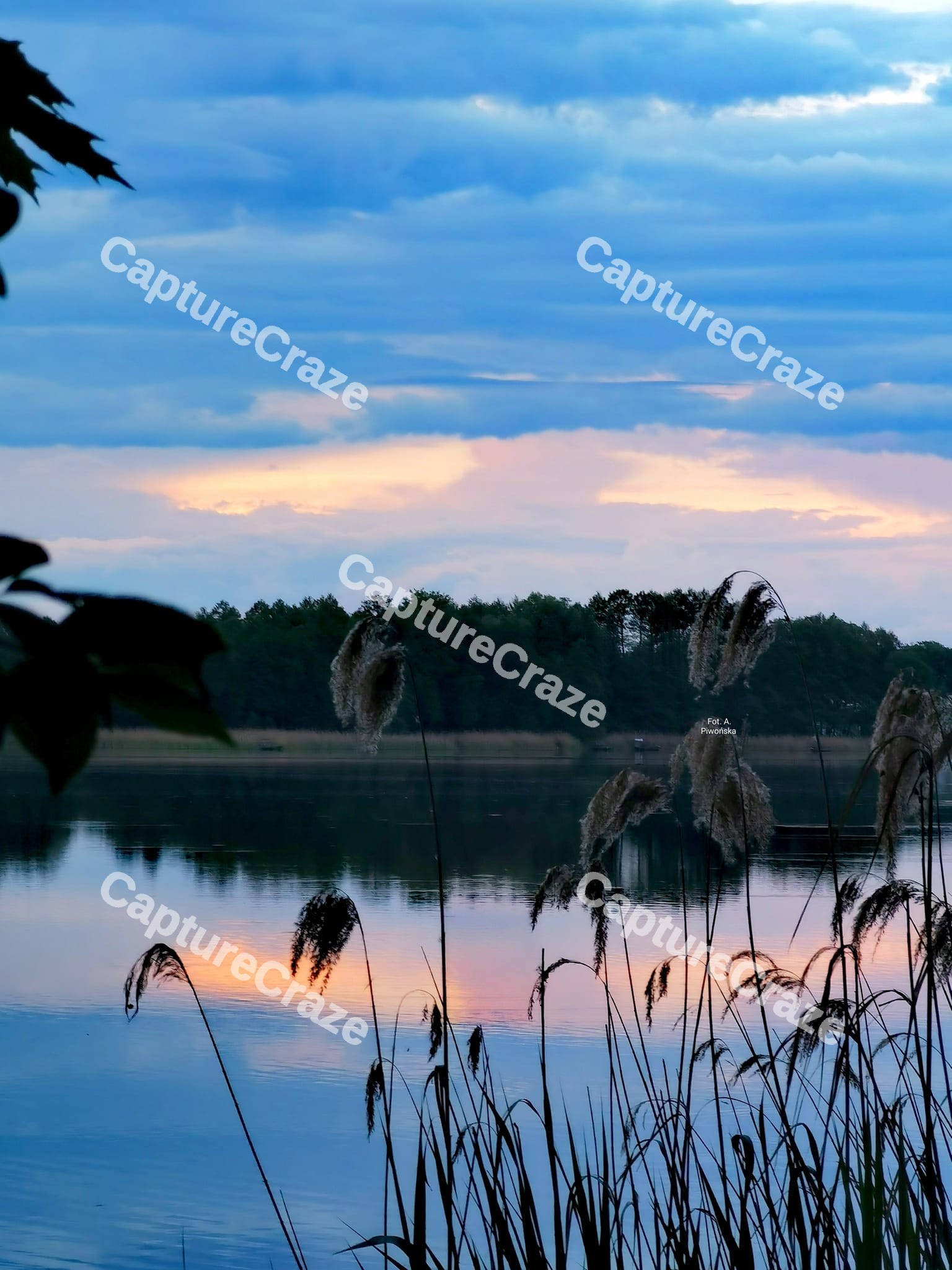 Lake view